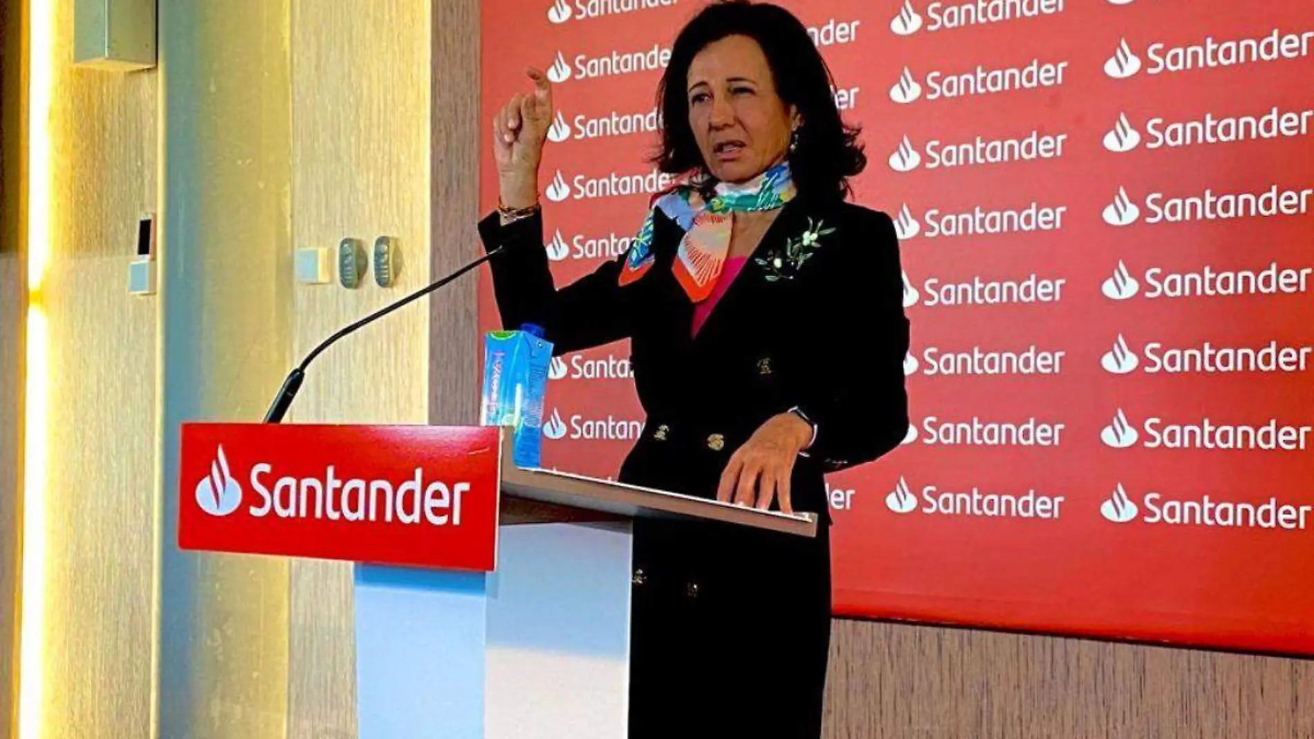 ana botín